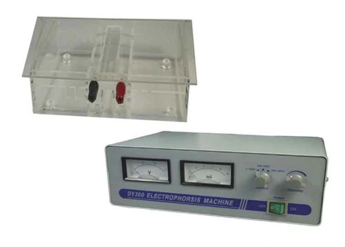 Medical Analysis Electrophoresis Machine with Cell Dy-300